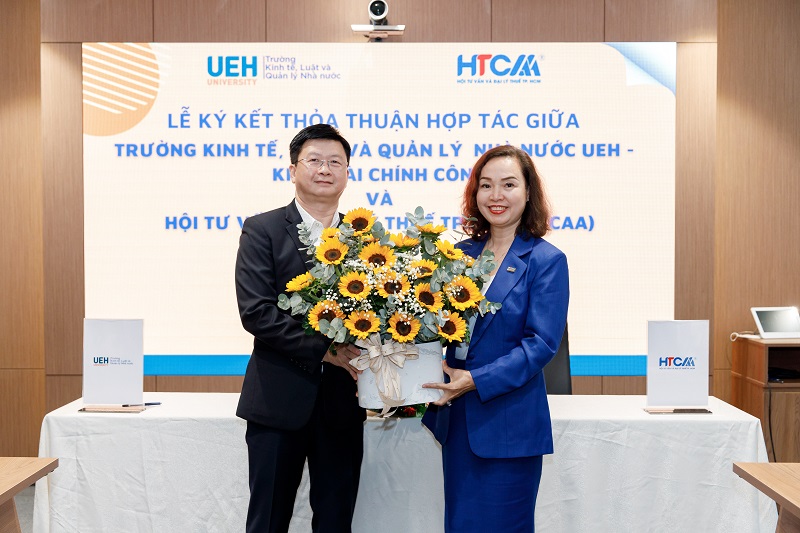 cá cược thể thao hul city